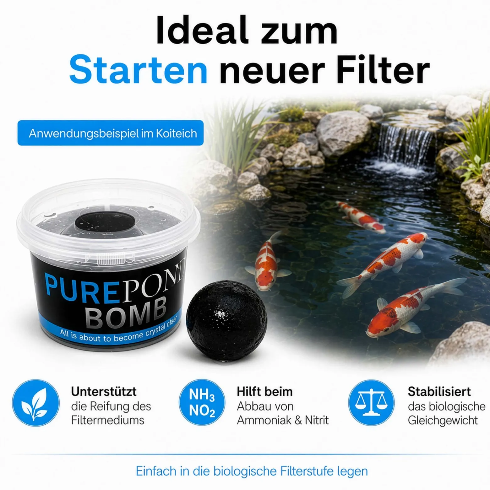 Evolution Aqua Pure Pond Bomb für Teiche bis 20.000 L, Filterbakterien und Enzyme als Biostarter für den Teich, Teichpflege