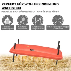 Fudajo Küken-Wärmeplatte 40x60cm 66W Heizplatte mit Temperaturregler für 45-50 Küken zur Kunstbrut