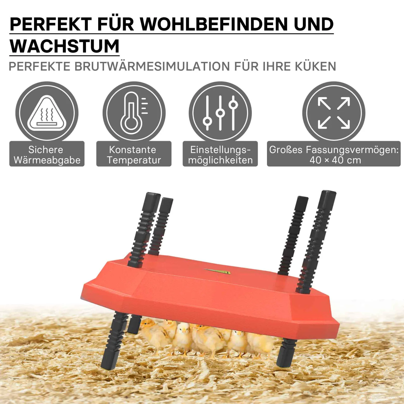 Fudajo Küken-Wärmeplatte 40x40cm 42W Heizplatte mit Temperaturregler für 30-35 Küken zur Kunstbrut