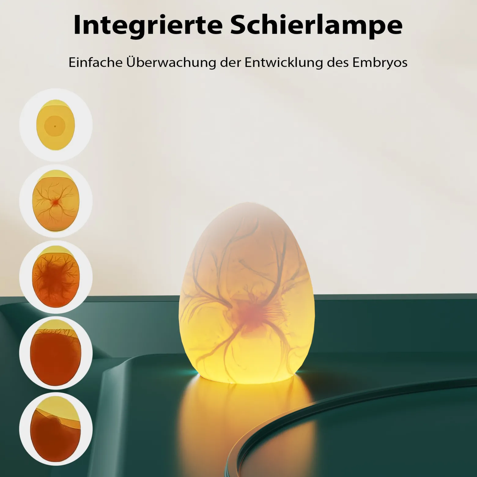 Fudajo Vollautomatischer Flächenbrüter für 48 Eier, Inkubator 80 W mit Wendesystem, Brutautomat mit Temperatursteuerung und Feuchtigskeitsregulierung, Brutkasten zum Eier ausbrüten