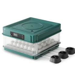 Fudajo Vollautomatischer Flächenbrüter für 30 Eier, Inkubator 40 W mit Wendesystem, Brutautomat mit Temperatursteuerung und Feuchtigskeitsregulierung, Brutkasten zum Eier ausbrüten