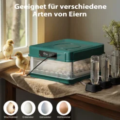 Fudajo Vollautomatischer Flächenbrüter für 30 Eier, Inkubator 40 W mit Wendesystem, Brutautomat mit Temperatursteuerung und Feuchtigskeitsregulierung, Brutkasten zum Eier ausbrüten