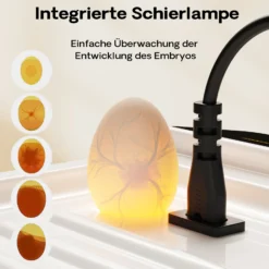 Fudajo Vollautomatischer Flächenbrüter für 36 Eier, Inkubator 45 W mit Wendesystem, Brutautomat mit Temperatursteuerung und Feuchtigskeitsregulierung, Brutkasten zum Eier ausbrüten