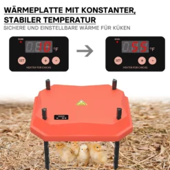 Fudajo 25x30cm Küken-Wärmeplatte mit Temperaturregler 20W Heizplatte für 15-20 Küken für Kunstbrut