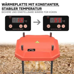 Fudajo 40x55cm Küken-Wärmeplatte mit Temperaturregler 50W Heizplatte für 40-45 Küken für Kunstbrut