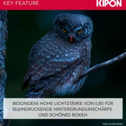 Handevision Ibelux Serienobjektiv 40 mm f/0.85 APS-C – kompatibel mit Sony E – Foto Objektiv, extrem lichtstark, ideal für Portraits & Low-Light, Ganzmetallgehäuse, integrierte Sonnenblende – Schwarz