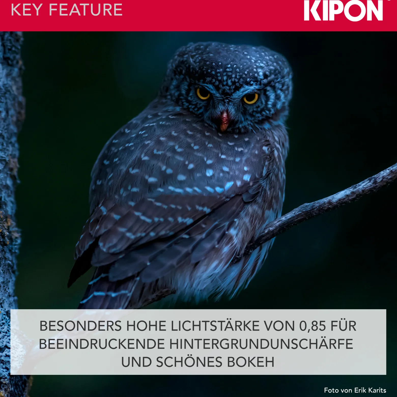 Handevision Ibelux Serienobjektiv 40 mm f/0.85 APS-C – kompatibel mit Sony E – Foto Objektiv, extrem lichtstark, ideal für Portraits & Low-Light, Ganzmetallgehäuse, integrierte Sonnenblende – Schwarz