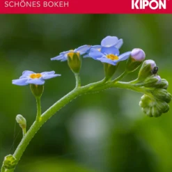 Kipon Iberit 50/2,4 Vollformat Objektiv - Brennweite 50 mm, Lichtstärke F2,4 - manuell, kompatibel mit Fuji X - schwarz