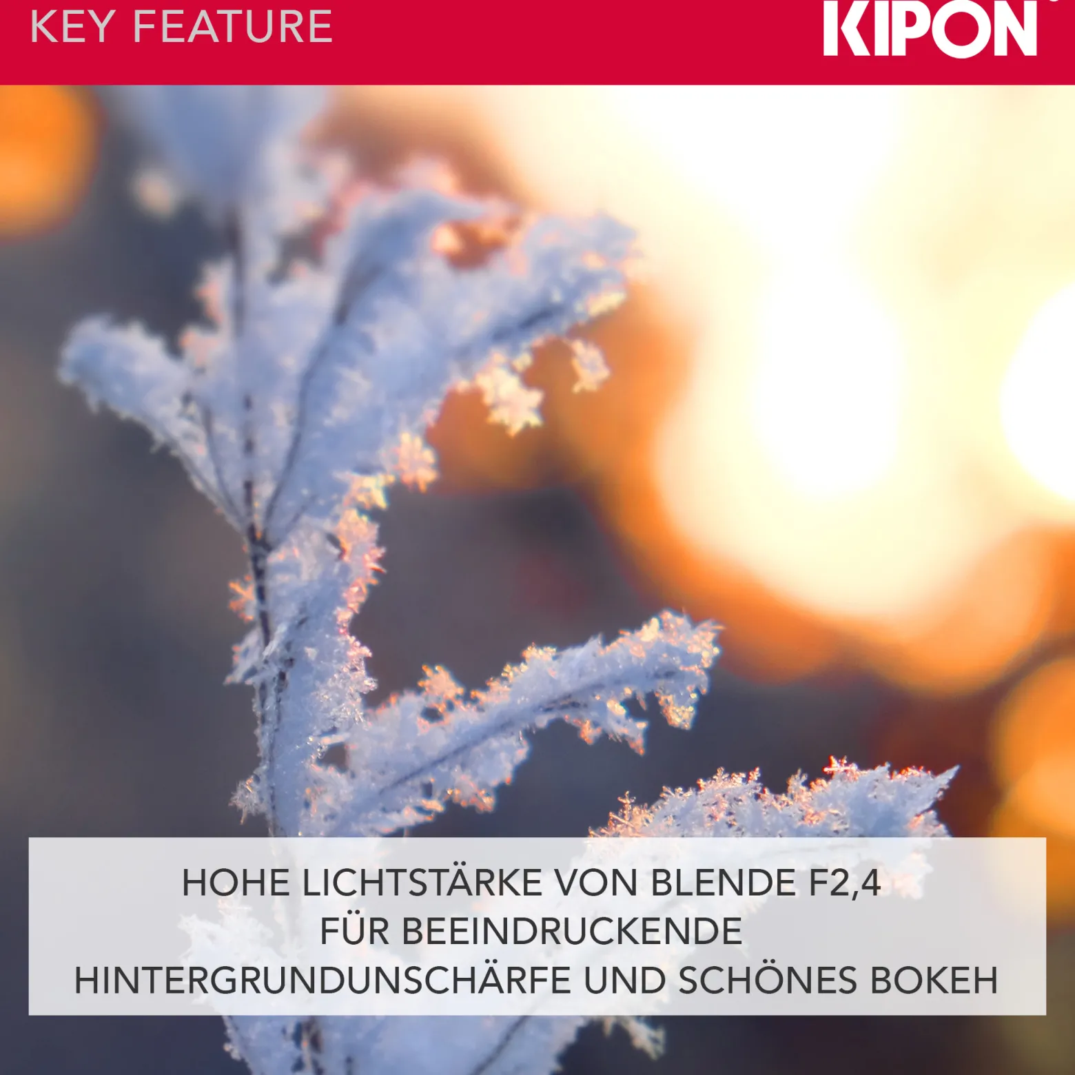 Kipon Iberit 50/2,4 Vollformat Objektiv - Brennweite 50 mm, Lichtstärke F2,4 - manuell, kompatibel mit Fuji X - schwarz