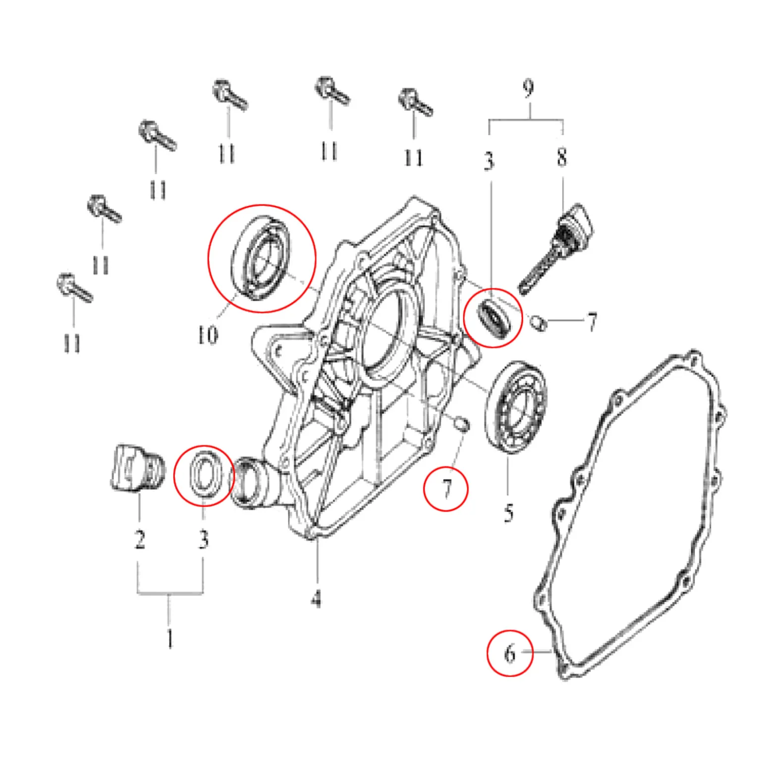 LIFAN Ersatzteil für 6,5 PS Benzinmotor Dichtungssatz, leistungsstarker 4-Takt Motor, Benzin Motor Hubraum 196 ccm E10 kompatibel