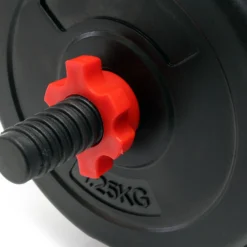 LUXTRI Kurzhantel Set 20 kg mit 12 Zement Hantelscheiben, 2 Hantelstangen gerändelt Sternverschluss Hantel Set verschiedene Gewichte robustes Dumbbell Set mit verstellbaren Hanteln
