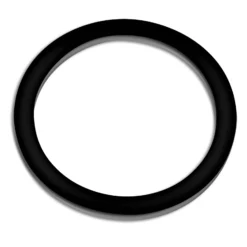 SunSun Ersatzteil Auslass Gummiring für Bio Teichfilter CBF-350B - Durchlauffilter Teich bis 60.000 L Teichvolumen - bis 10000 l/h - 2 Kammer-System Teich Filter Biofilter Koiteich