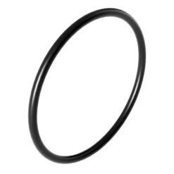 SunSun Ersatzteil Auslass O-Ring für Bio Teichfilter CBF-350B - Durchlauffilter Teich bis 60.000 L Teichvolumen - bis 10000 l/h - 2 Kammer-System Teich Filter Biofilter Koiteich