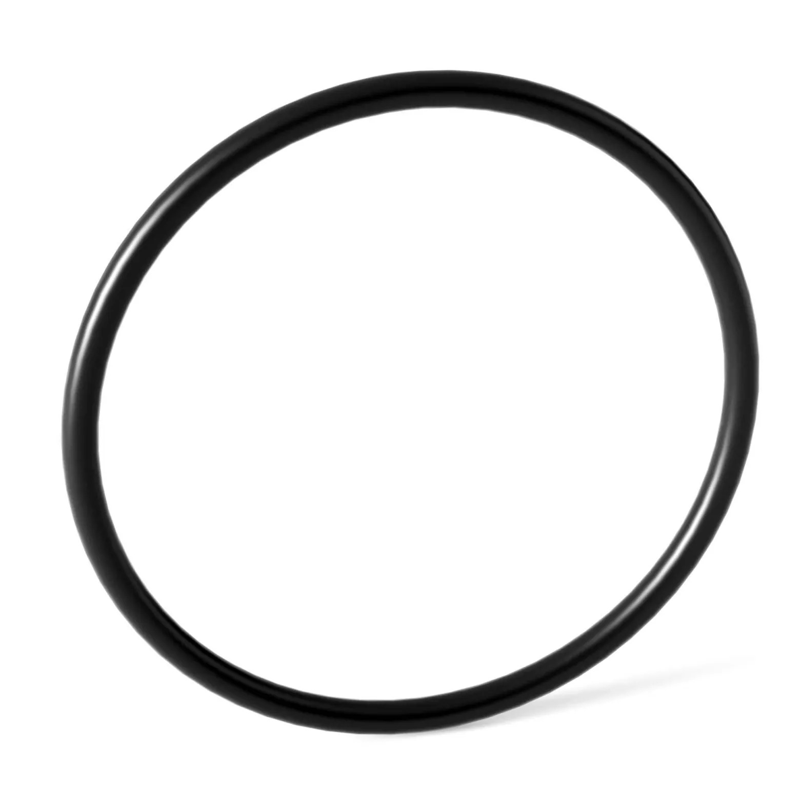 SunSun Ersatzteil Auslass O-Ring für Bio Teichfilter CBF-350B - Durchlauffilter Teich bis 60.000 L Teichvolumen - bis 10000 l/h - 2 Kammer-System Teich Filter Biofilter Koiteich