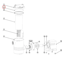 SunSun Ersatzteil für Schwimmbadpumpe O-Ring 1, leistungsstarke Poolfilteranlage, Filterpumpe mit hoher Förderleistung, robuste Pool Pumpe