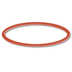 SunSun Ersatzteil für Schwimmbadpumpe O-Ring 4, leistungsstarke Poolfilteranlage, Filterpumpe mit hoher Förderleistung, robuste Pool Pumpe