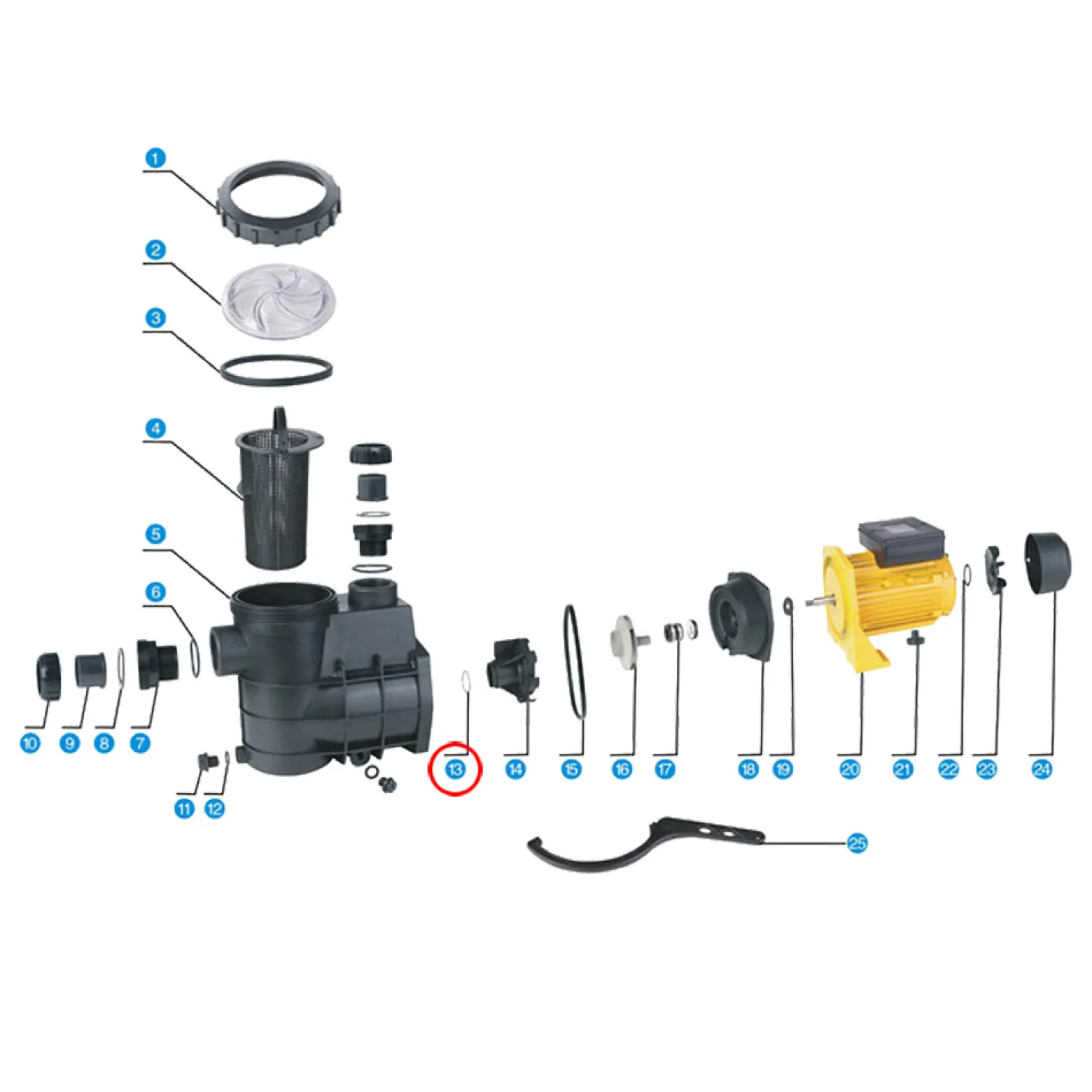 SunSun Ersatzteil für Schwimmbadpumpe O-Ring 3, 550 W Poolfilteranlage, Filterpumpe 13000 l/h, Poolpumpe mit Schwimmerschalter, robuste Pumpe für Pool