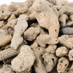 SunSun 0,5kg Aquarium Korallensand, sehr grober Sand für die Besiedlung mit nitrifizierenden Bakterien im Filter, für Teich- und Aquariumfilter