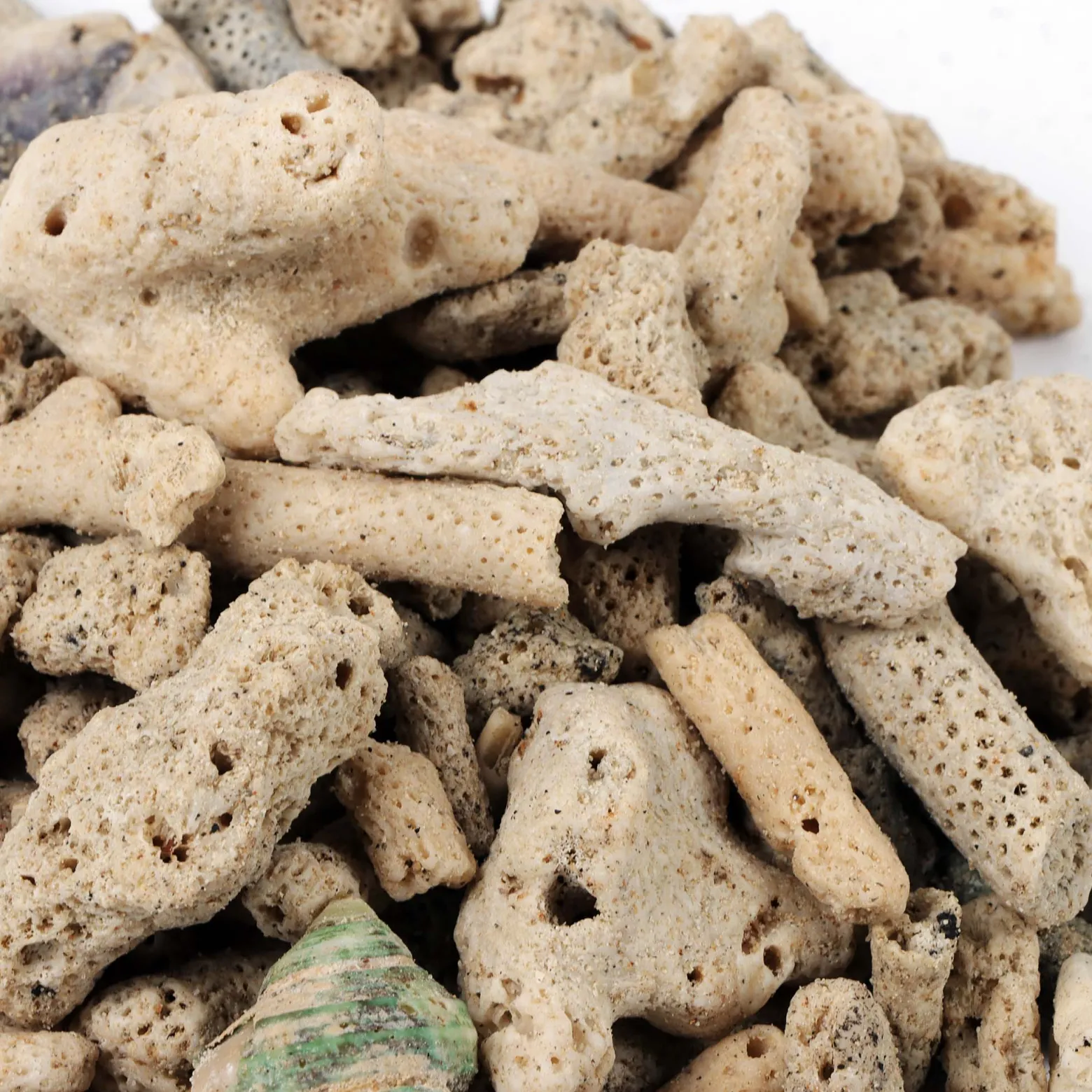SunSun 0,5kg Aquarium Korallensand, sehr grober Sand für die Besiedlung mit nitrifizierenden Bakterien im Filter, für Teich- und Aquariumfilter