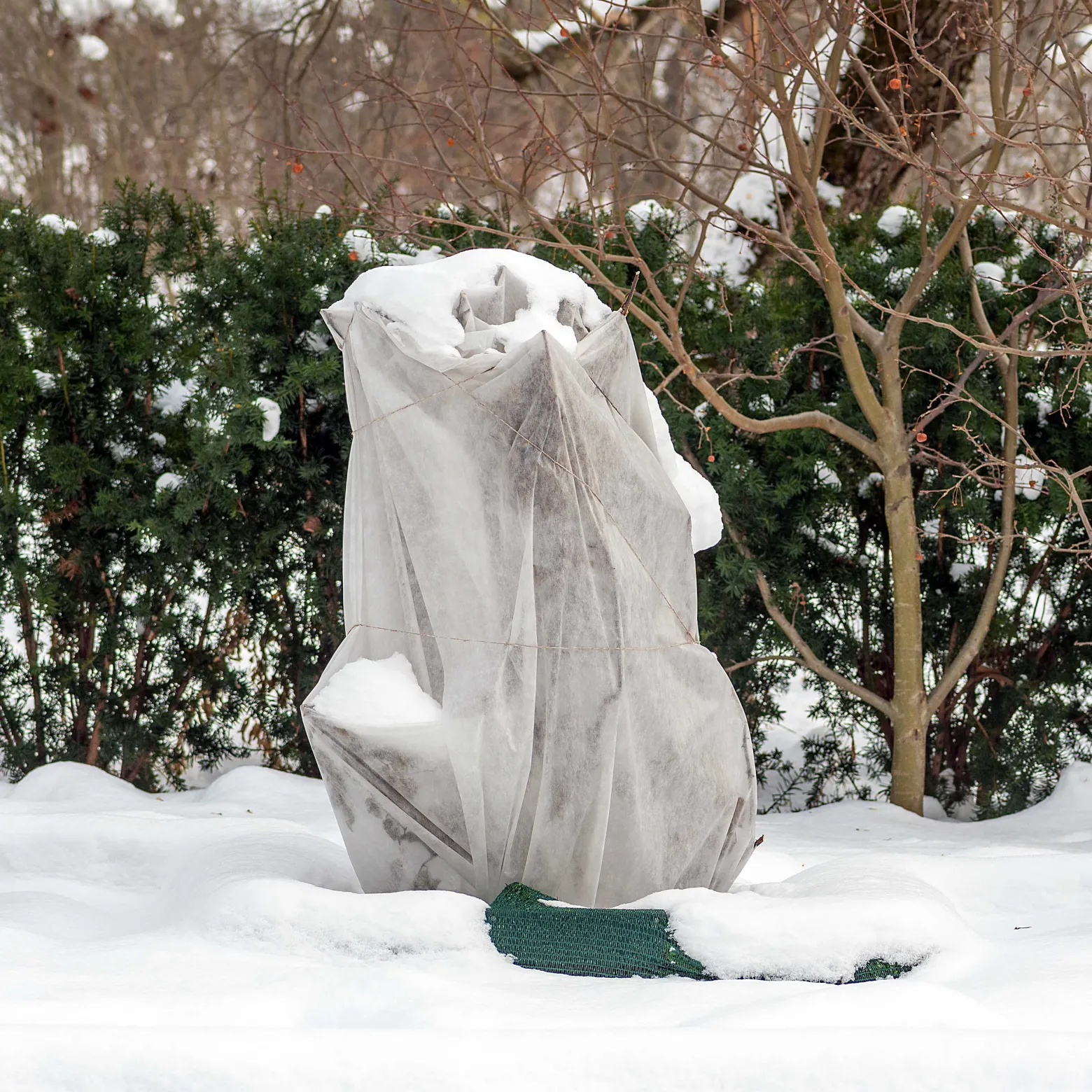 Toboli 2x Winterschutz für Pflanzen 120 x 180 cm, 70 g/m² Frostschutz aus Vlies, Pflanzenschutzhaube für Winter, UV-beständig, waschbar, mit Kordel