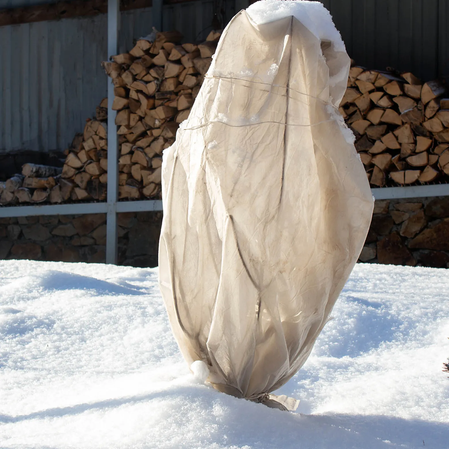 Toboli 2x Winterschutz für Pflanzen 120 x 180 cm, 70 g/m² Frostschutz aus Vlies, Pflanzenschutzhaube für Winter, UV-beständig, waschbar, mit Kordel