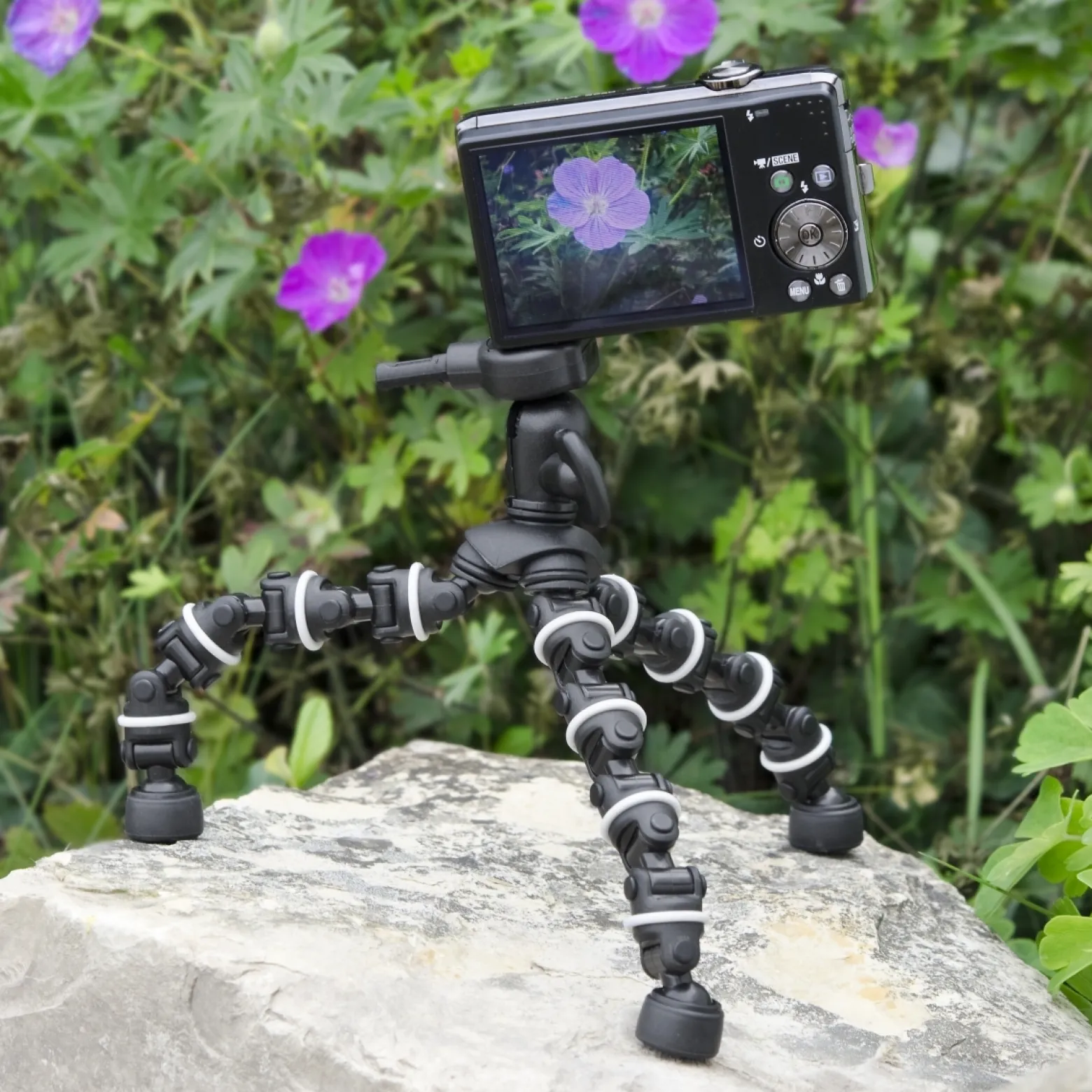 Walimex Multiflex-Stativ 16,5 cm flexibel biegbar Mini Stativ mit Schnellwechselplatte 1/4 Zoll, belastbar bis 750 g, Tischstativ für Kompaktkamera und Actioncam