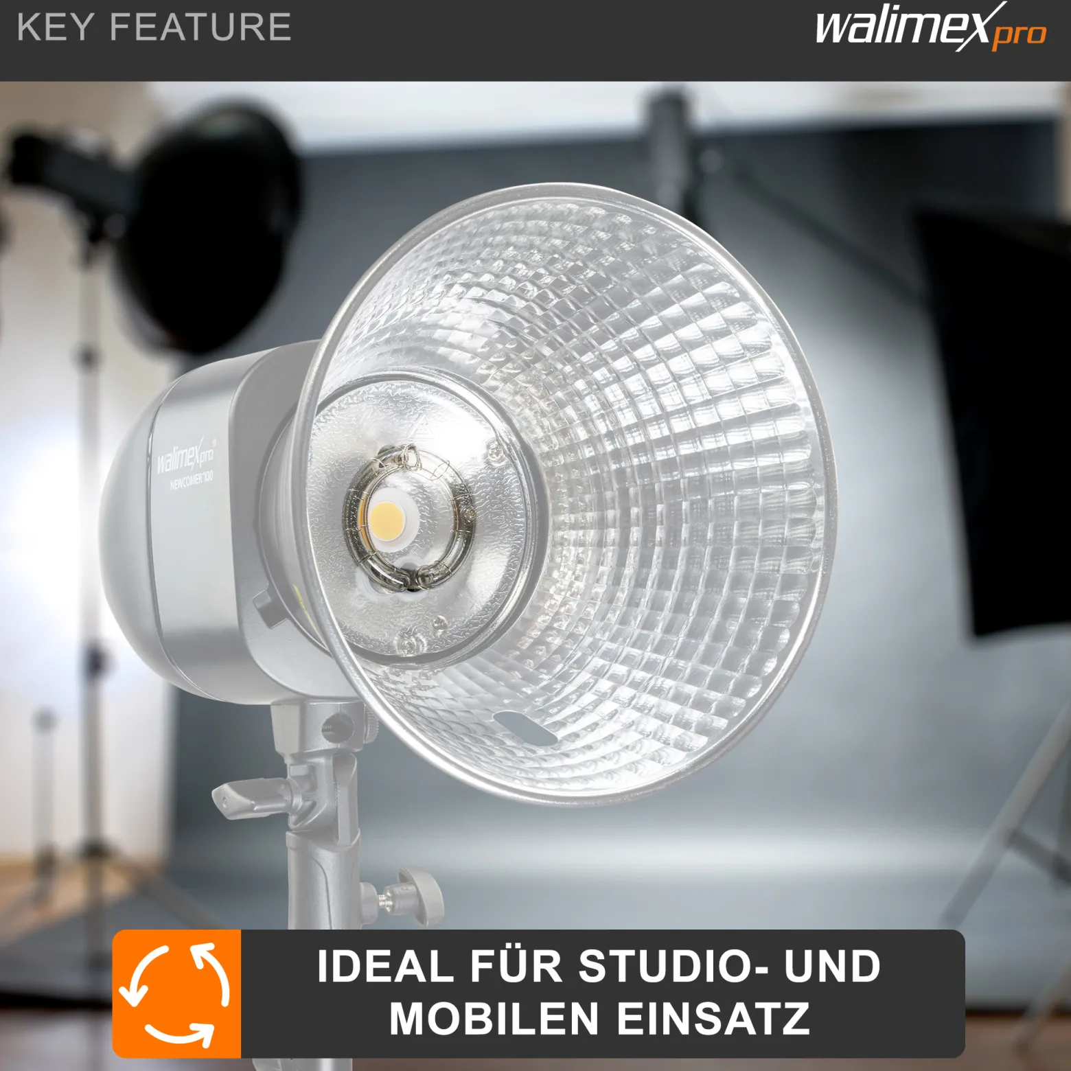 Walimex pro Ersatzblitzröhre für den Studioblitz Newcomer 100/150/200, VT-100/150/200, Leistungsaufnahme 100W, Farbtemperatur 5400-5800 K, Ersatz Blitz leicht zu wechseln