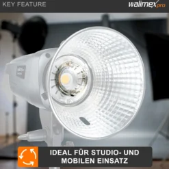 Walimex pro Ersatzblitzröhre für den Studioblitz Emerger 200 & VE-150/200, Leistungsaufnahme 150-200 W, Farbtemperatur 5400-5800 K, Ersatz Blitz leicht zu wechseln