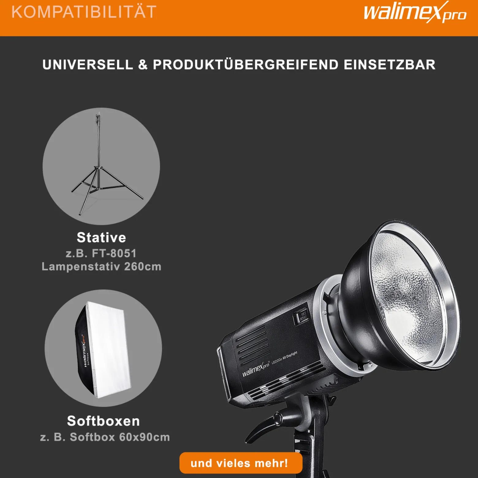 Walimex pro LED2Go 60 Daylight Videoleuchte, LED Dauerlicht 60 W mit Akku, Studioleuchte mit Bowens S-Type Anschluss, moderne COB-Technologie, ideal für Fotostudio