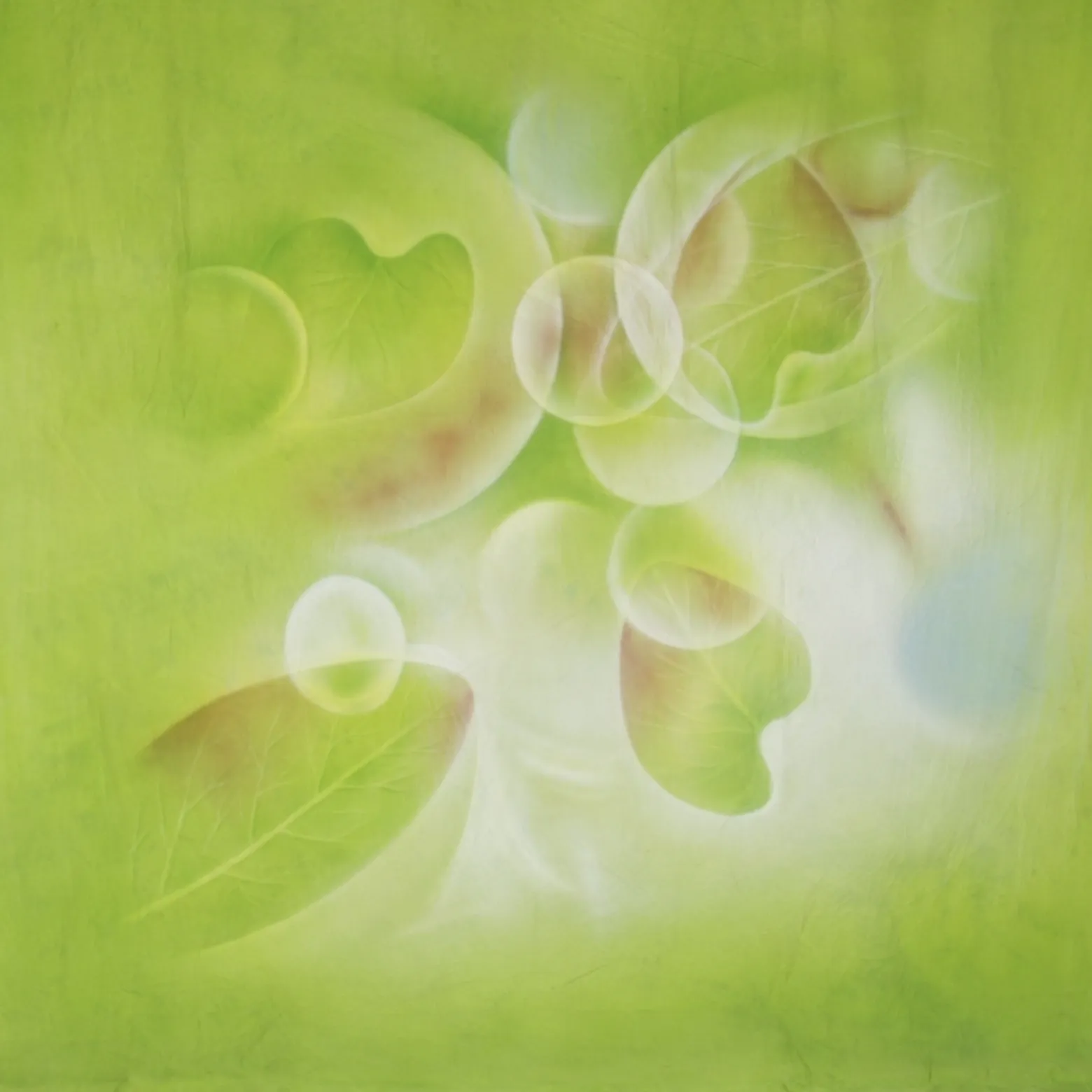 Walimex Pro Motiv-Stoffhintergrund (3x6 m) Fresh