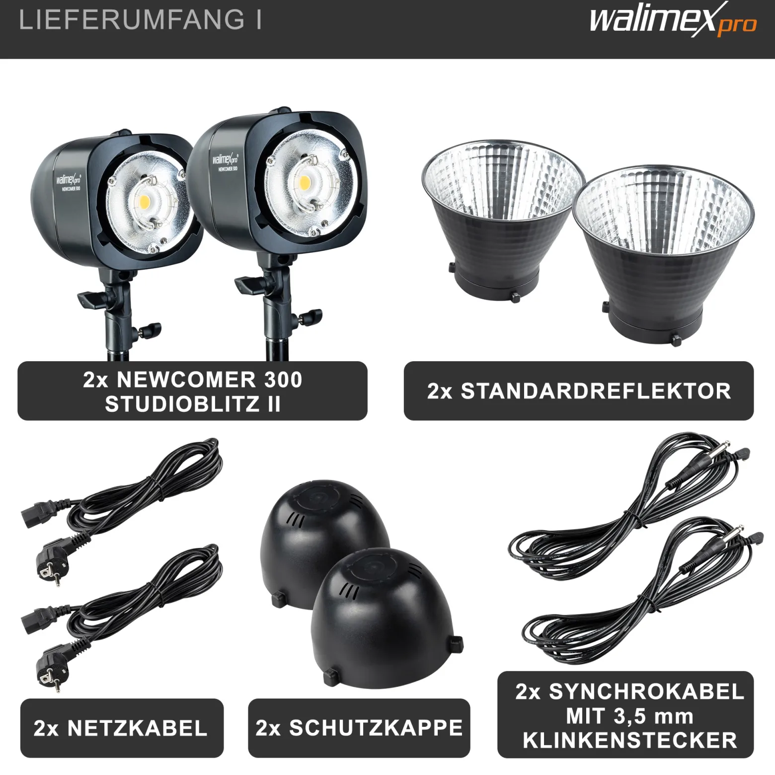 Walimex pro Newcomer 300 II 2er Set, Studioblitz Set inkl. Softboxen und Lampenstativen, LED Studiolicht 300 W mit Funk, hohe Lichtleistung ideal für Fotostudio