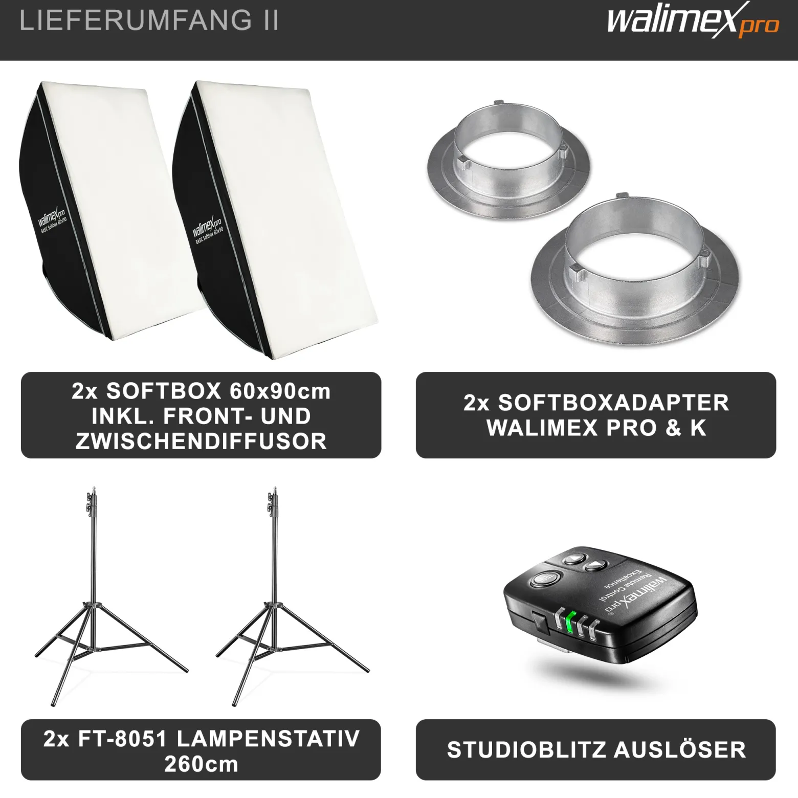 Walimex pro Newcomer 300 II 2er Set, Studioblitz Set inkl. Softboxen und Lampenstativen, LED Studiolicht 300 W mit Funk, hohe Lichtleistung ideal für Fotostudio