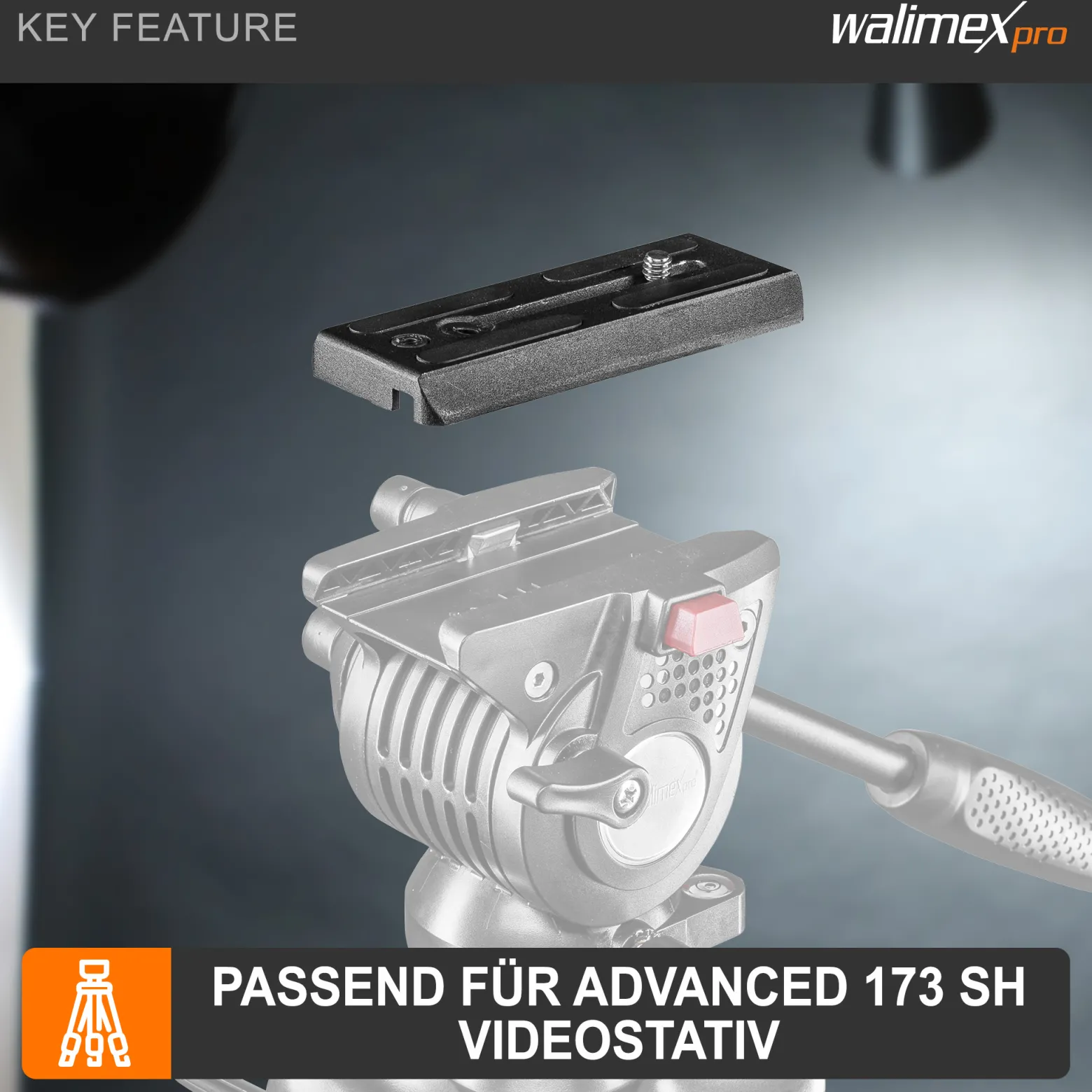 Walimex pro Schnellwechselplatte für Advanced 173 SH Videostativ – Ersatz Schnellwechsel Kameraplatte, Aluminium, Gummierung, 100x40x10 mm, 1/4 Zoll Kamera Anschlussschraube