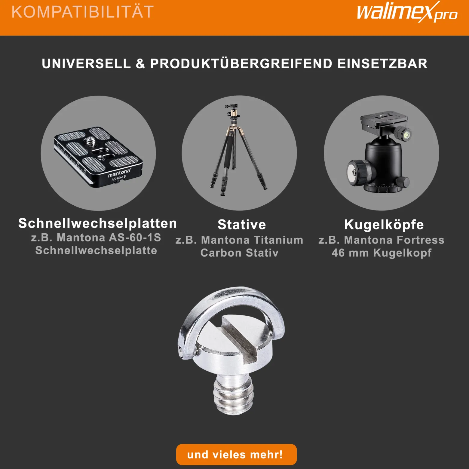 Walimex pro 2x Kamera Befestigungsschrauben 1/4 Zoll, Kameraschrauben aus Edelstahl, Kamera Schraube für Schnellwechselplatte, Stativkopf, Kugelkopf