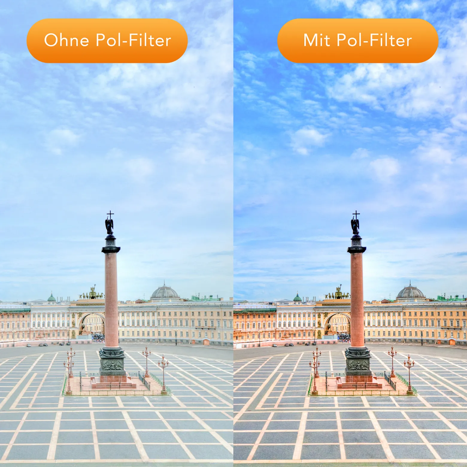 Walimex pro Zirkularer Polfilter MC - Ø 58 mm - mehrfach vergütet - mit Schutzhülle, reduziert Reflexionen, verstärkt Kontraste und Farbsättigung - ideal für die Landschaftsfotografie