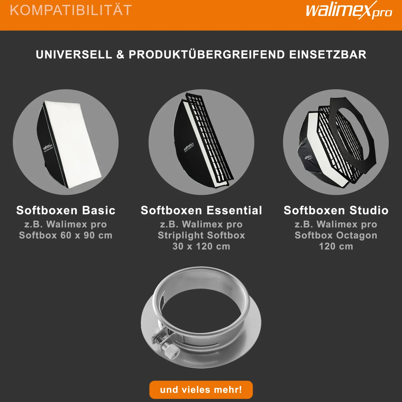 Walimex Softboxadapter für Octagon Striplight - 152 x 152 x 40 mm - aus Metall - Lichtformer-Adapter für Softboxen Striplight - kompatibel mit Profoto Blitzsystemen