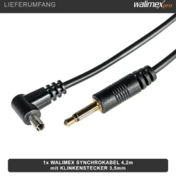 Walimex Synchrokabel - 17 x 8 x 4200 mm - mit Klinkenstecker 3,5 mm und X-Kontakt - für Blitzkabel für Blitzgerät Studioblitzleuchte