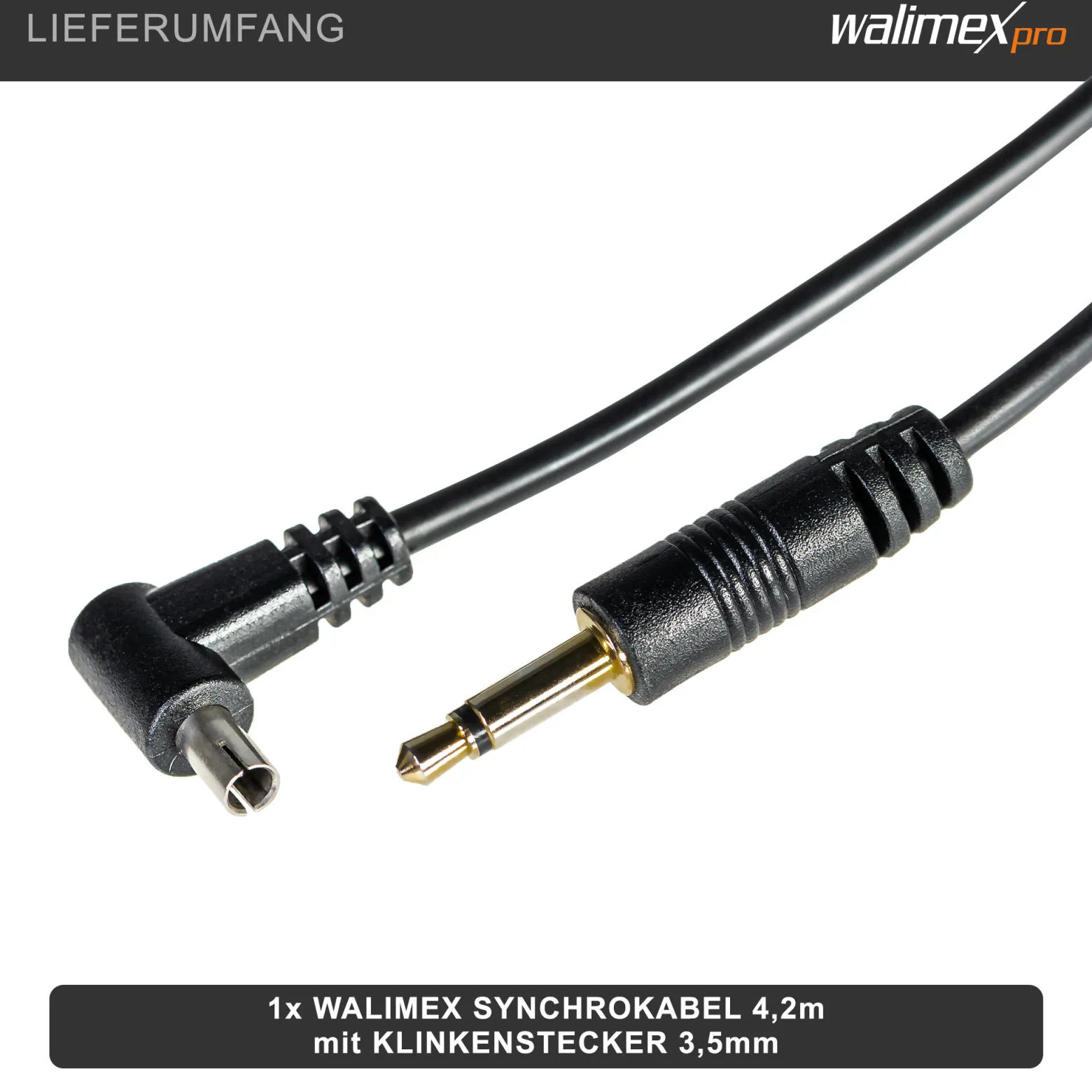 Walimex Synchrokabel - 17 x 8 x 4200 mm - mit Klinkenstecker 3,5 mm und X-Kontakt - für Blitzkabel für Blitzgerät Studioblitzleuchte