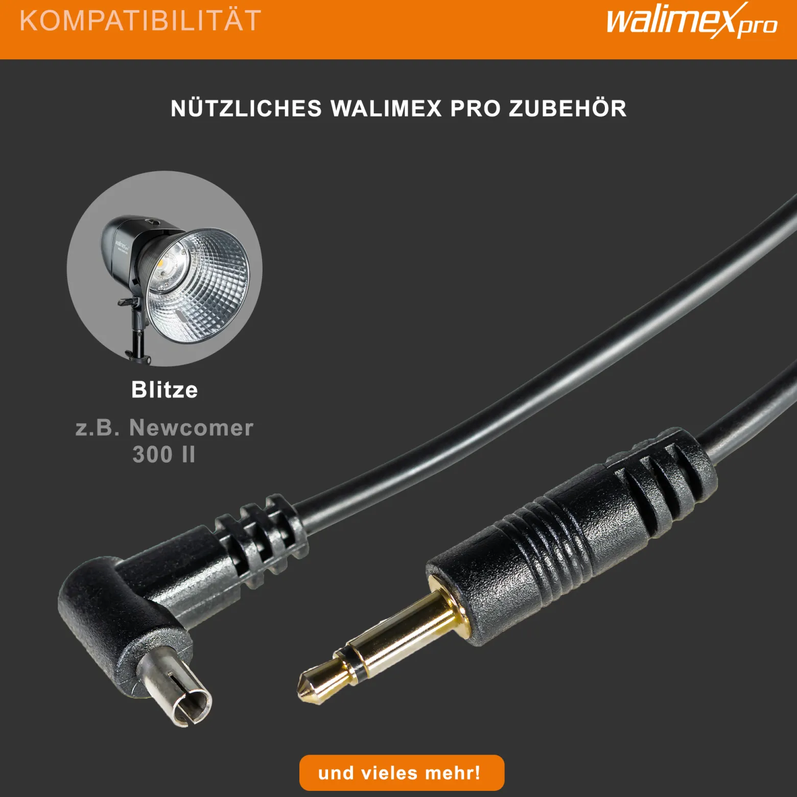 Walimex Synchrokabel - 17 x 8 x 4200 mm - mit Klinkenstecker 3,5 mm und X-Kontakt - für Blitzkabel für Blitzgerät Studioblitzleuchte