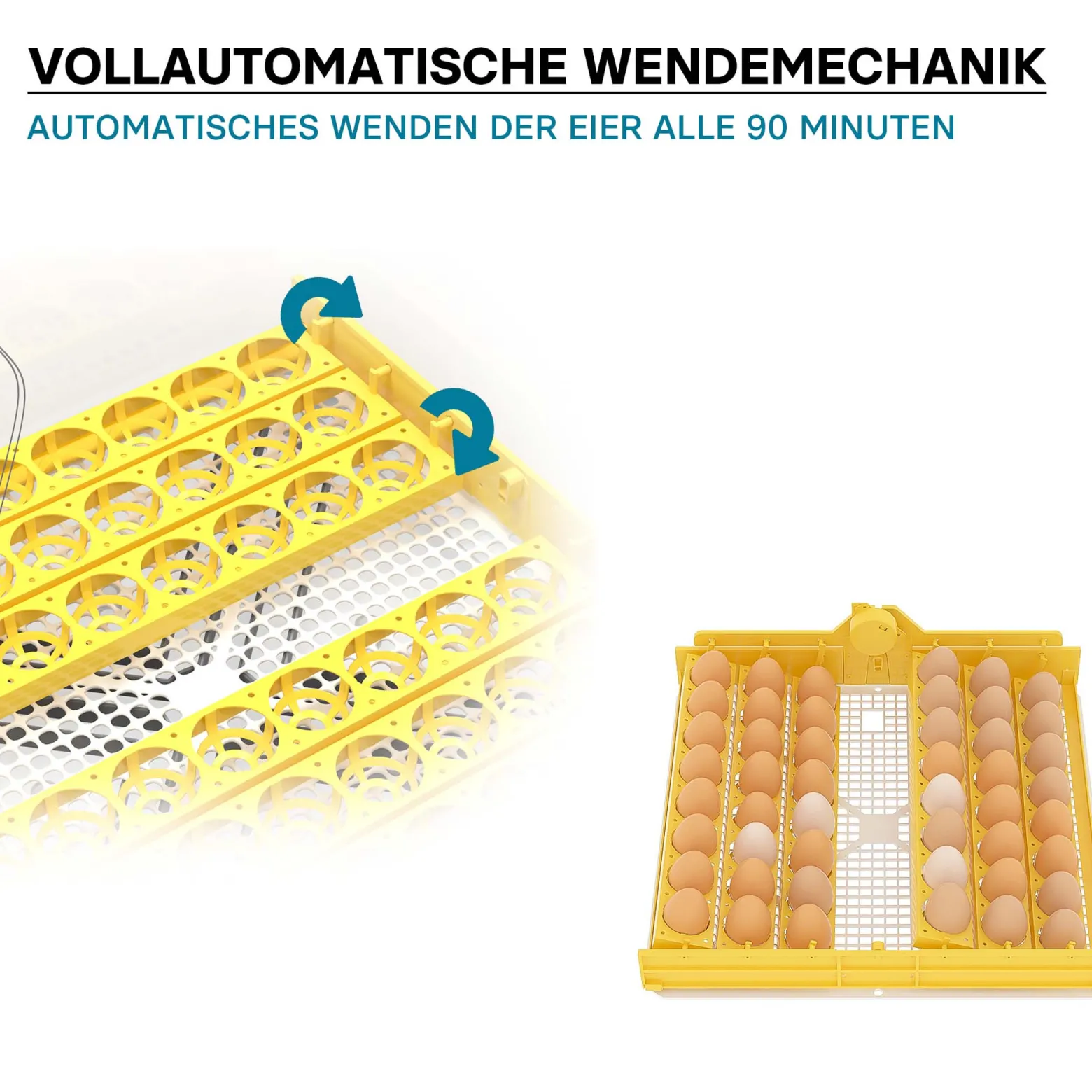 Wiltec Automatische Brutmaschine für 48 Eier, Inkubator mit vollautomatischem Wendesystem, Brutautomat mit Temperatursteuerung und Feuchtigskeitsregulierung, Brutkasten zum Eier ausbrüten