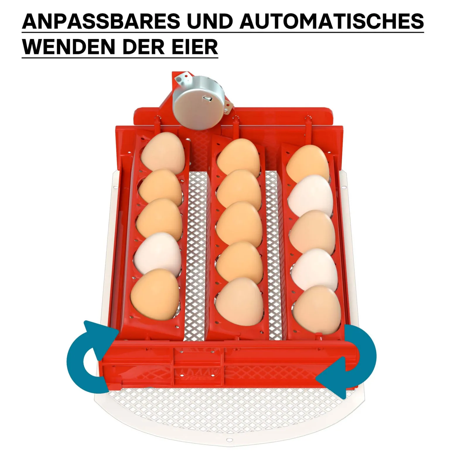 Wiltec Automatische Brutmaschine für 15 Eier, Inkubator mit vollautomatischem Wendesystem, Brutautomat mit Temperatursteuerung und Feuchtigskeitsregulierung, Brutkasten zum Eier ausbrüten