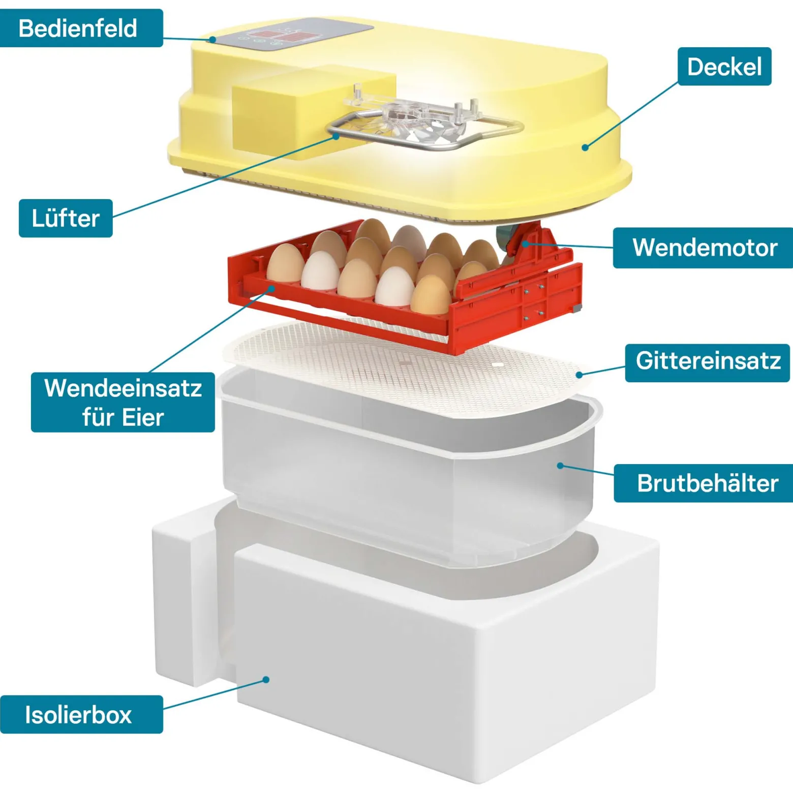 Wiltec Automatische Brutmaschine für 15 Eier, Inkubator mit vollautomatischem Wendesystem, Brutautomat mit Temperatursteuerung und Feuchtigskeitsregulierung, Brutkasten zum Eier ausbrüten