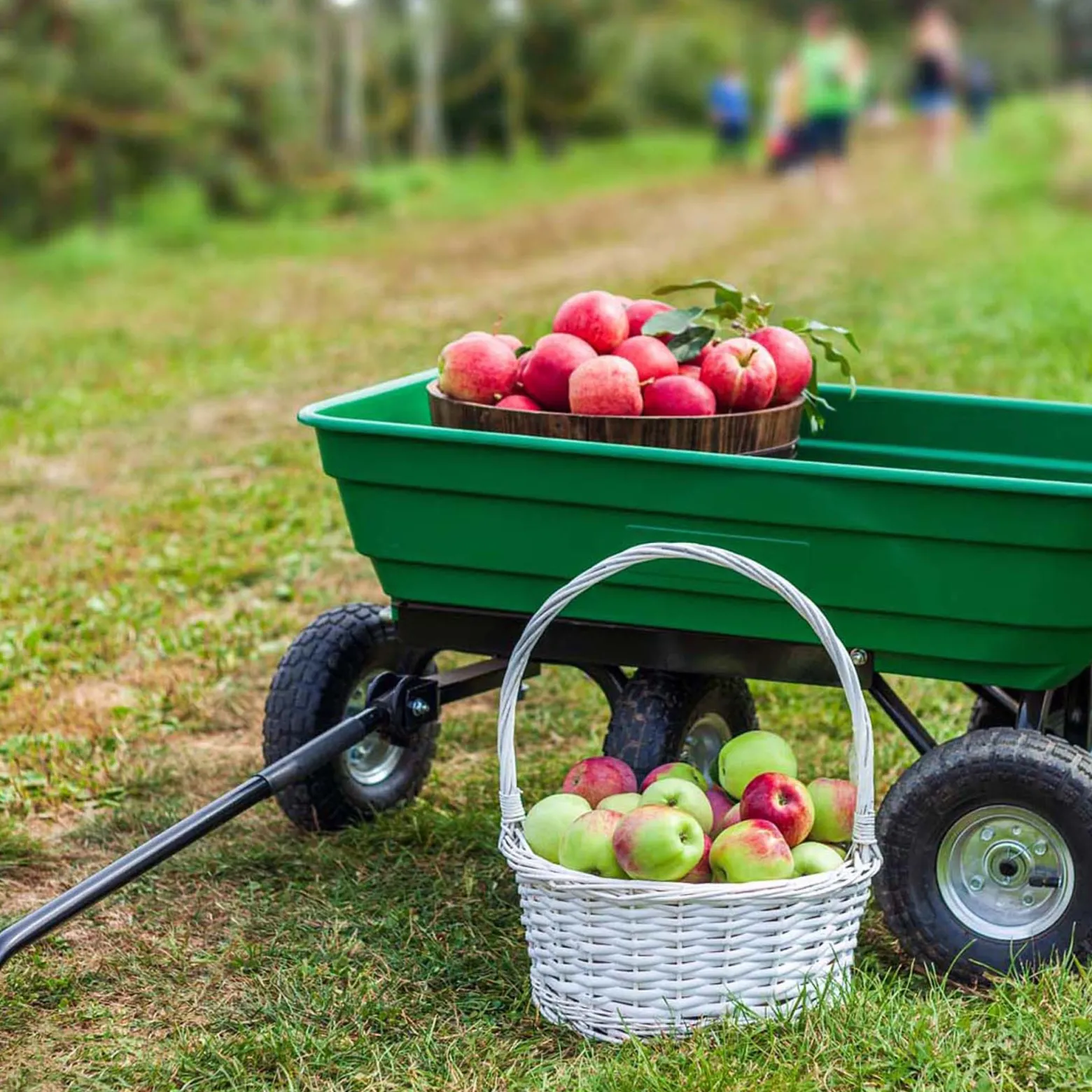 Wiltec Gartenwagen mit Kippfunktion bis 200 kg, Handwagen mit 50 l Volumen, Bollerwagen für Gartenarbeit, Handkarren für u. a. Rasen, Kies u. Schlamm