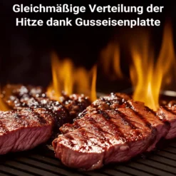 Wiltec Gusseisen Grillplatte 55 x 26,5 x 1,5 cm, Gusseisenplatte für Grill mit guter Hitzespeicherung, Grillgitter für typische Grillstreifen auf Grillgut, Grillzubehör für BBQ