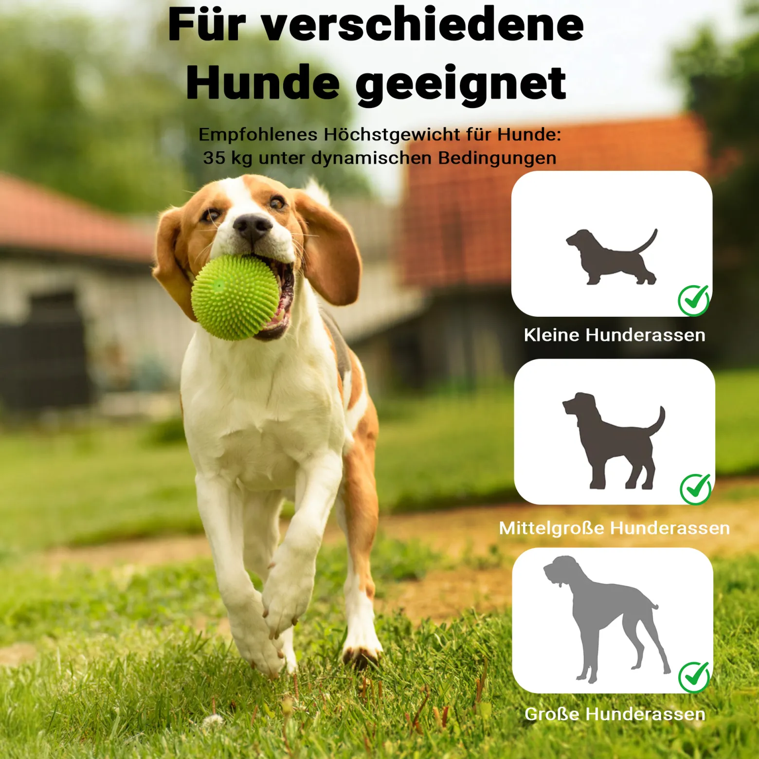 Wiltec Hundewippe 180x30x30cm für kleine & große Hunde zum Hundesport z.B. Agility Training, aus Holz, Spielerische Förderung der Kondition