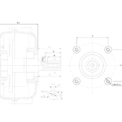 Wiltec Ölbadkupplung Q2 20 mm für LIFAN 5-6,5 PS Motor – GX140 GX160 GX200 – 168er Reihe – Benzinmotor Ersatzteil Fliehkraftkupplung – Einzylinder für Kleinmaschinen & Karts, 4-Takt Motor & OHV