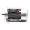 Wiltec Profi Elektromotor 230 V 2,2 kW (3 PS) 1-phasig 2-polig E-Motor mit Anlaufkondensator 2850 U/min und Kupferwicklung