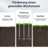 Wiltec Rasenlüfter mit 40 cm Arbeitsbreite und 6,4 cm Arbeitstiefe, Vertikutierer mit 5 Stachel-Scheiben aus Stahl, Aerifizierer zum Rasen belüften