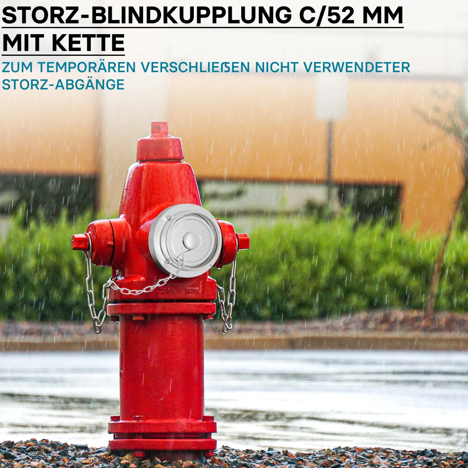Wiltec Storz Blindkupplung C 52mm 2" mit Kette aus Aluminium zum temporären Verschließen von Storzabgängen