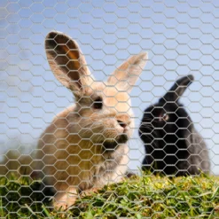 Wiltec Volierendraht 25 x 0,5 m, Hasendraht mit 13 mm Maschenweite, Sechseckgeflecht Stahl verzinkt, wetterfester Hühnerdraht für Gehege